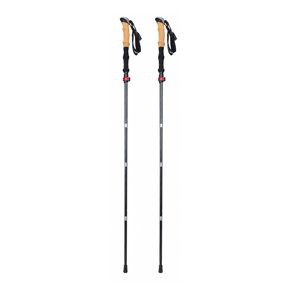 Bâtons de marche nordique Carbone, pliables SHOCKPROOF noir - VOXOR