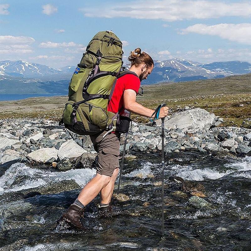 Bâton de Trekking 