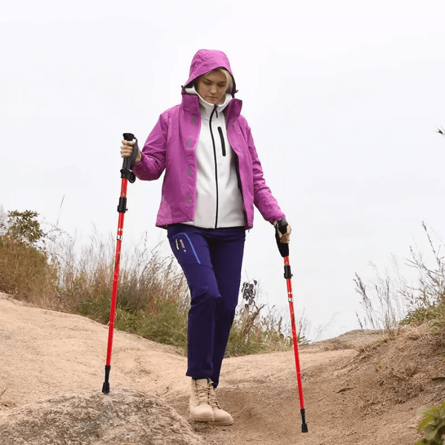 Bâton de Trekking 