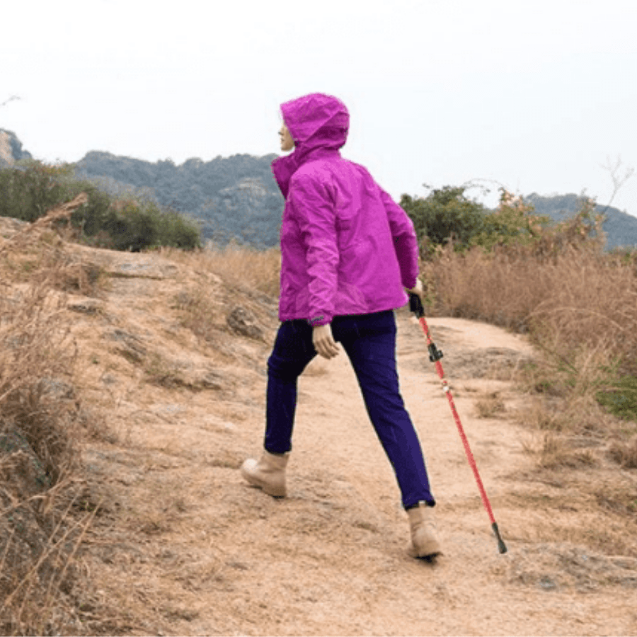 Bâton de Trekking 